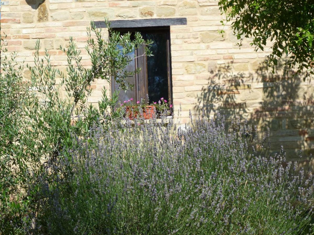 Il Casale Di Aurora Country House Colmurano ภายนอก รูปภาพ